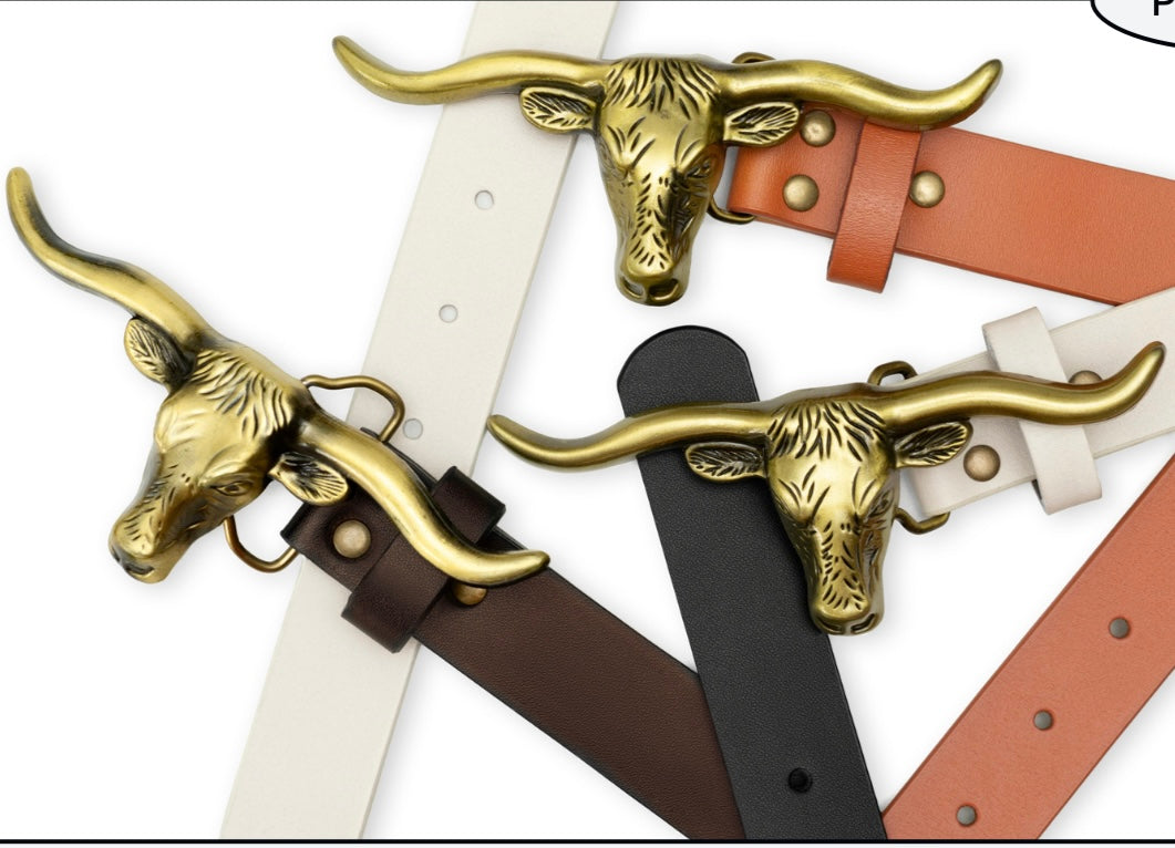 HOOK EM BELT